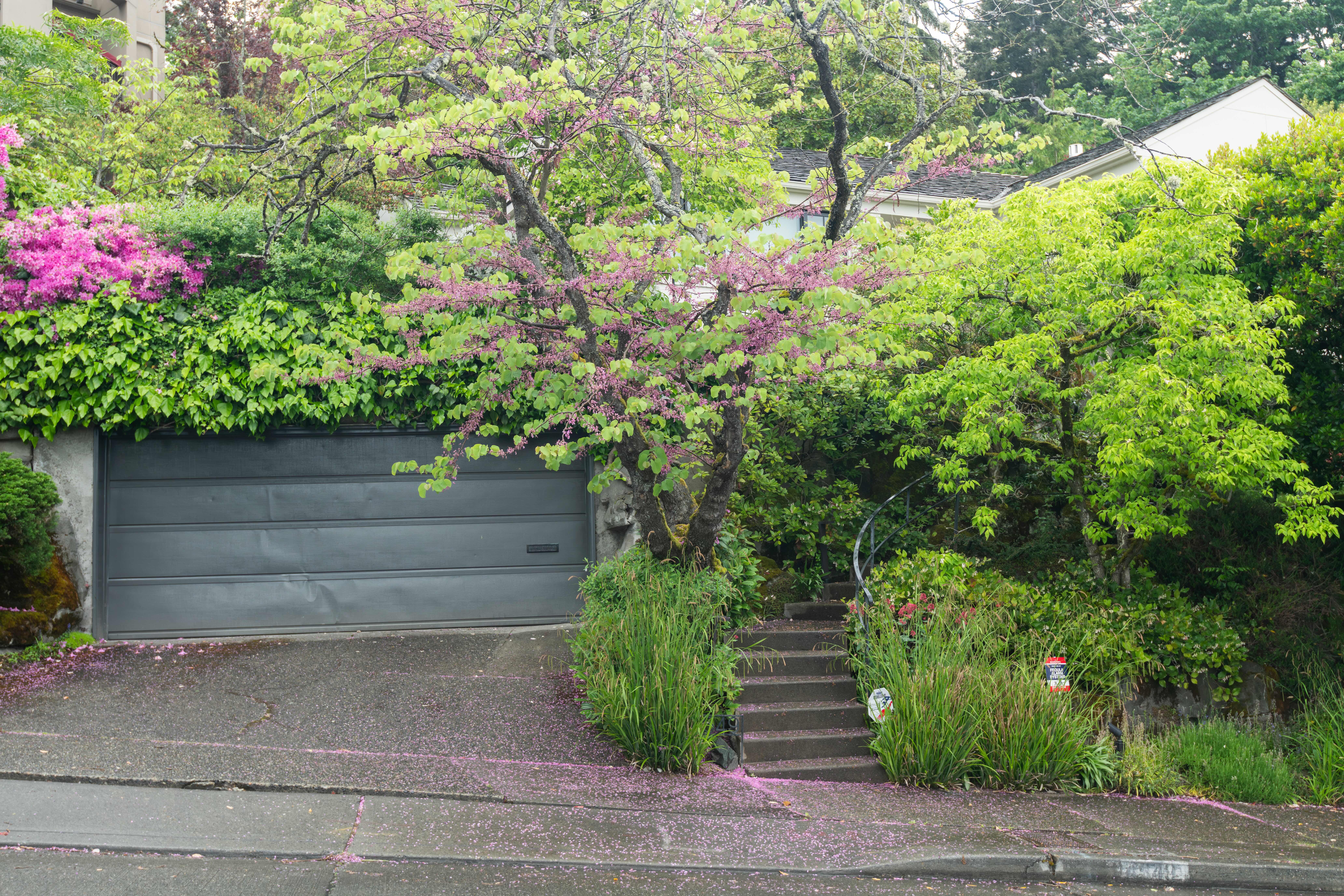Sokolove Law Seattle Office Street View