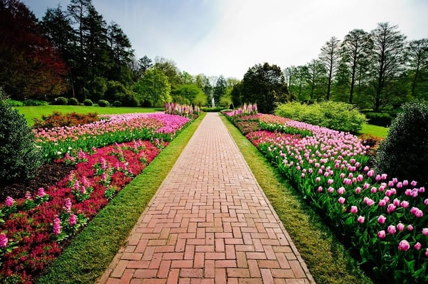 Images Superior Landscapes