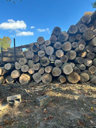 Images Rucker Logging and Excavation