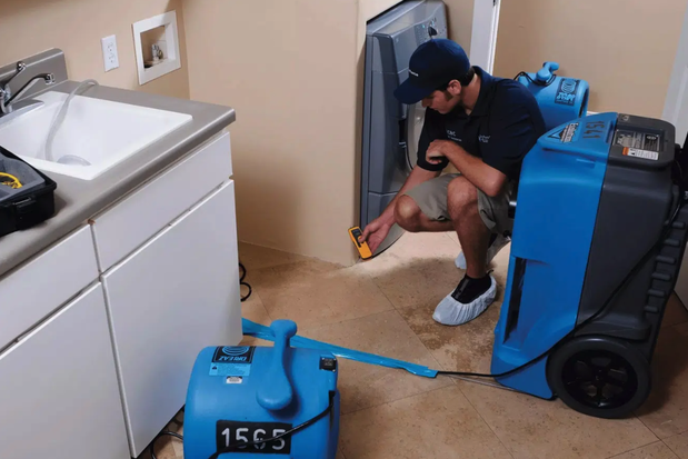 Images Dry Force Water Removal Specialists