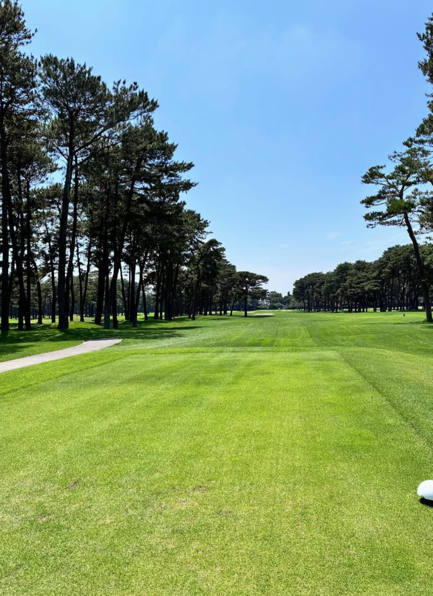 Images VZONEGOLF