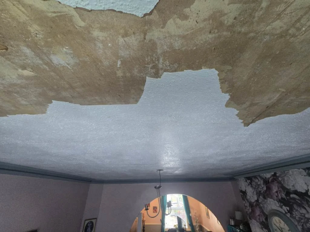 Images Verisure Damp Proofing & Plastering