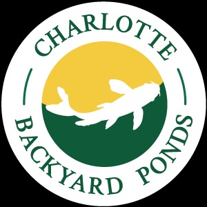 Charlotte Backyard Ponds Logo