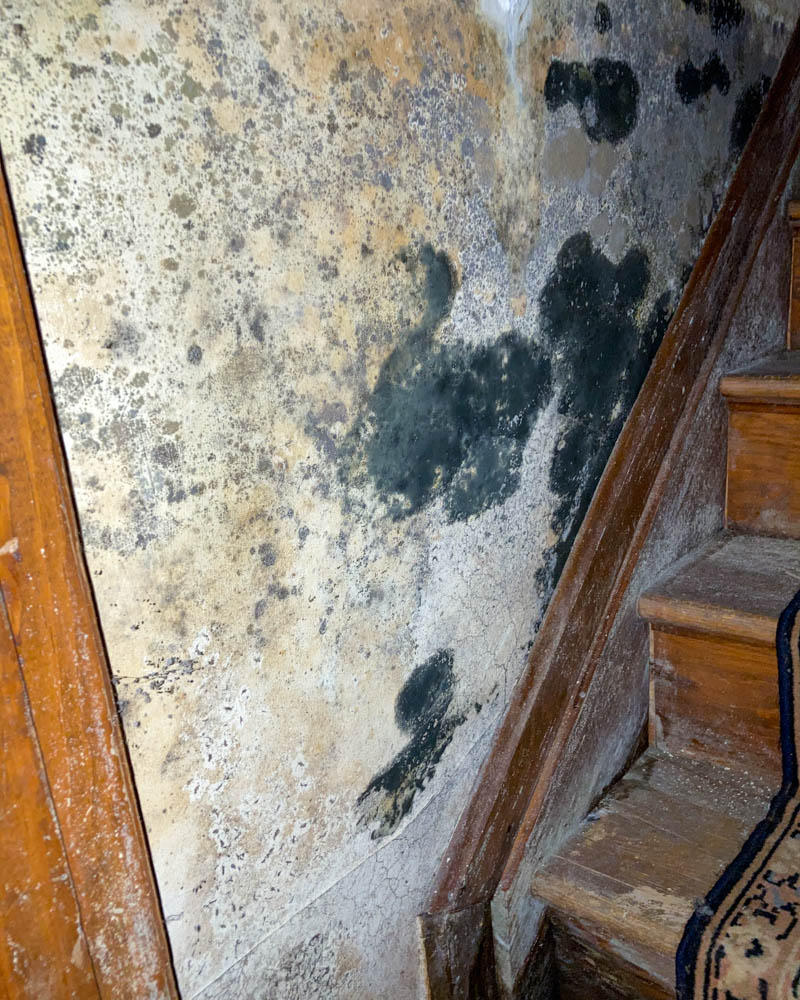 Call SERVPRO of Boone & Kenton County if you suspect you have a mold problem in your Florence, KY area.