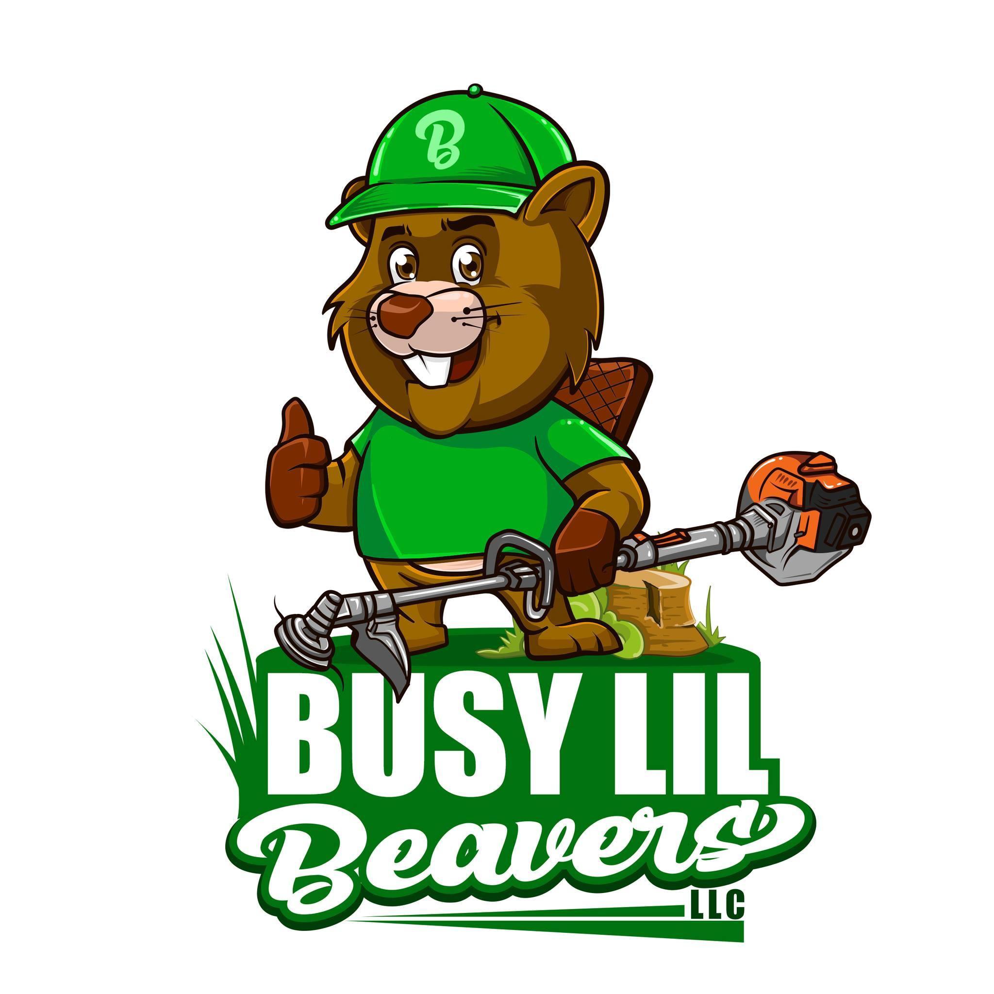 Busy Lil Beavers LLC - Elkhart, IN 46514 - (574)370-2021 | ShowMeLocal.com