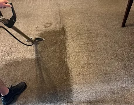 Ace Steam Carpet Cleaning