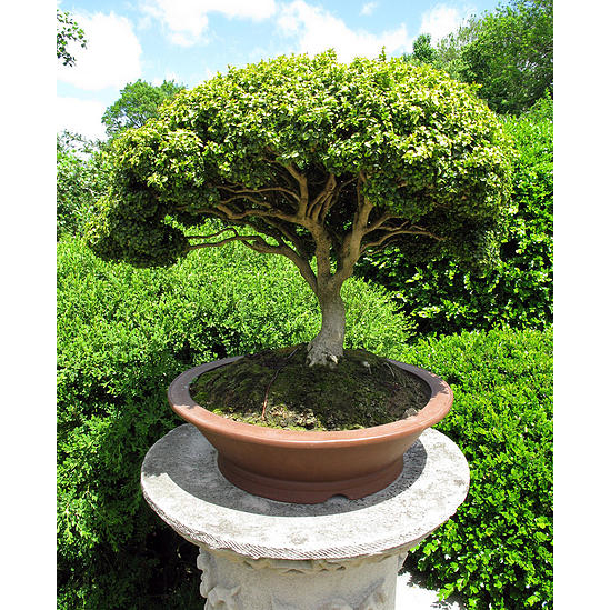 Behm Landscaping LLC