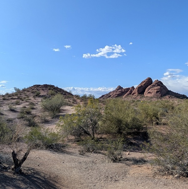 Invisible Fence® service extending into Pima County, AZ