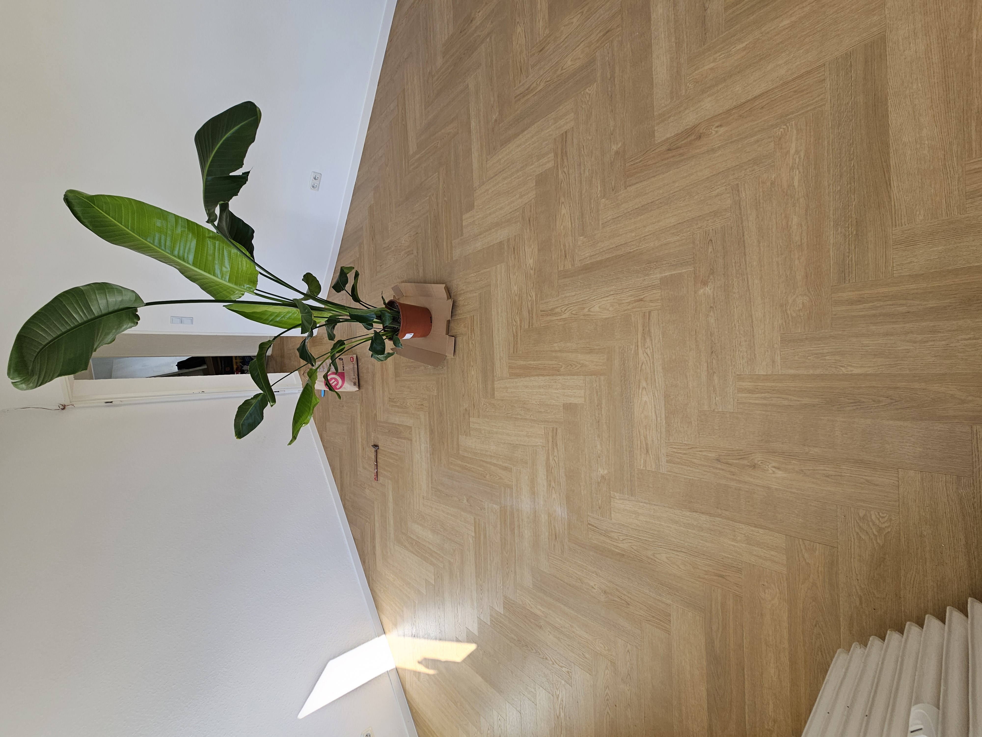 Rahimi Fussbodenbau, Mühlstr. 8 in Hanau