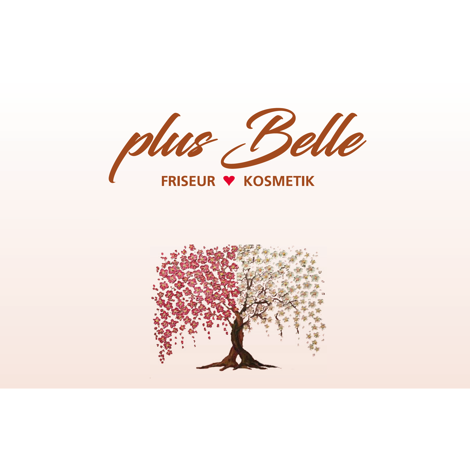 Logo Plus Belle