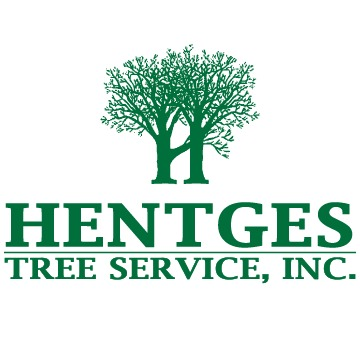 Hentges Tree Service - Jefferson City, MO 65109 - (573)893-2896 | ShowMeLocal.com