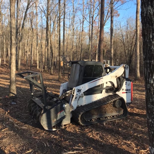 Images Carolina Farm & Forest SVC