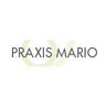 PRAXIS MARIO Praxis für Physiotherapie und Traditionelle Chinesische Medizin in Stuttgart - Logo