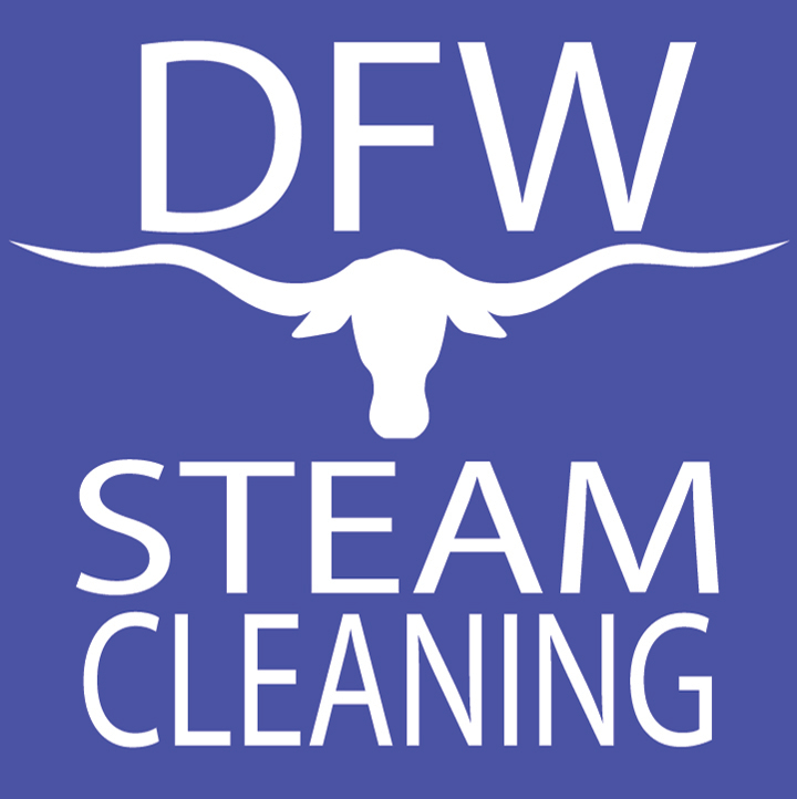 DFW Steam Cleaning Logo