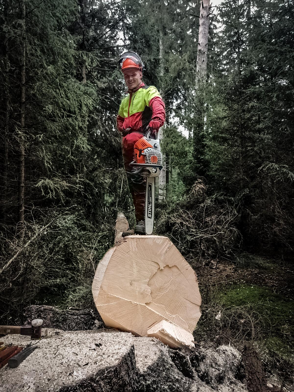 Bilder Holz Hilbich Baum- & Forstarbeiten