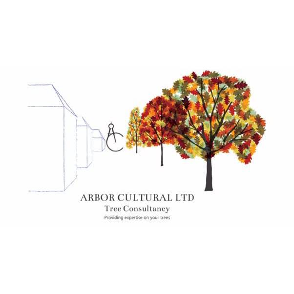 LOGO Arbor Cultural Ltd West Molesey 07899 984162