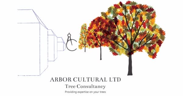 Images Arbor Cultural Ltd