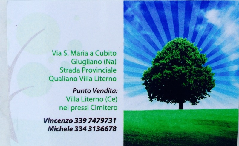 Images Vivai Fioretto Vincenzo
