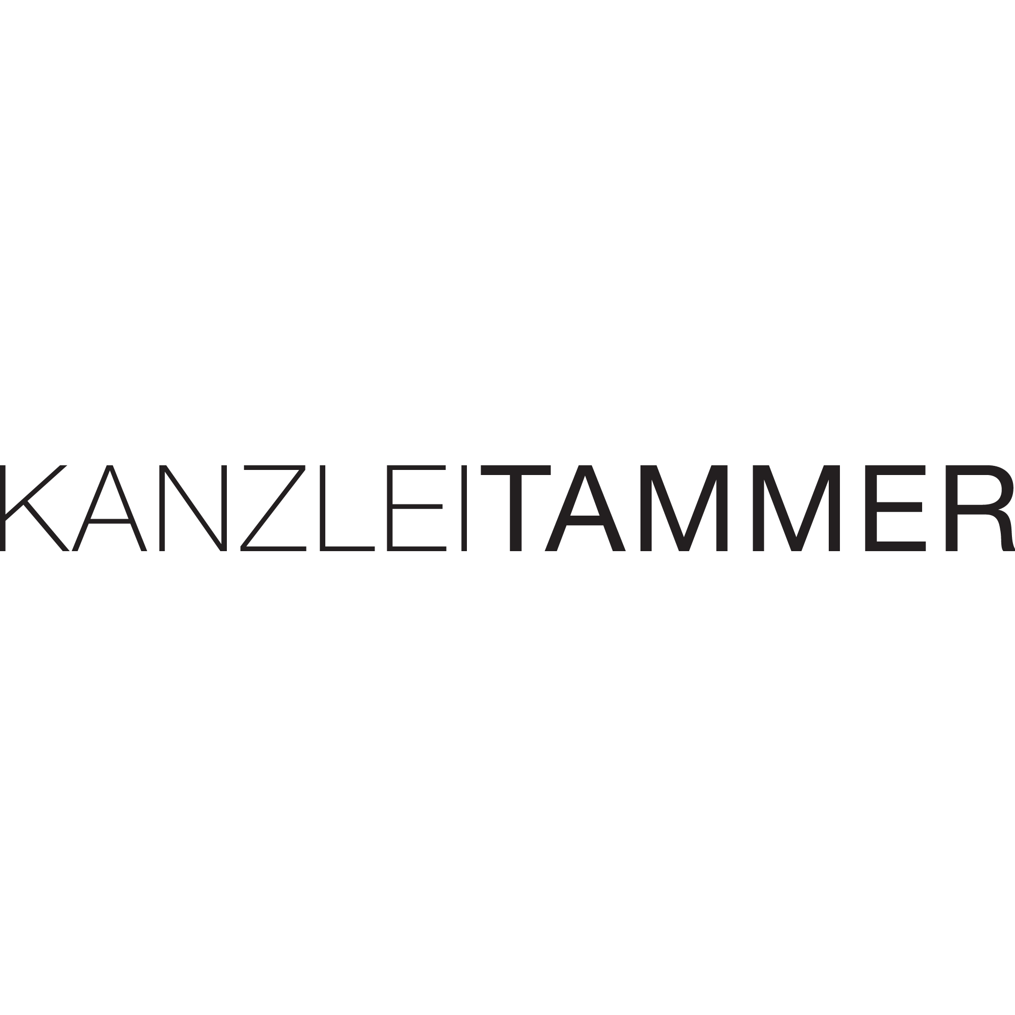 Logo Markus Tammer Steuerberater, Rechtsanwalt