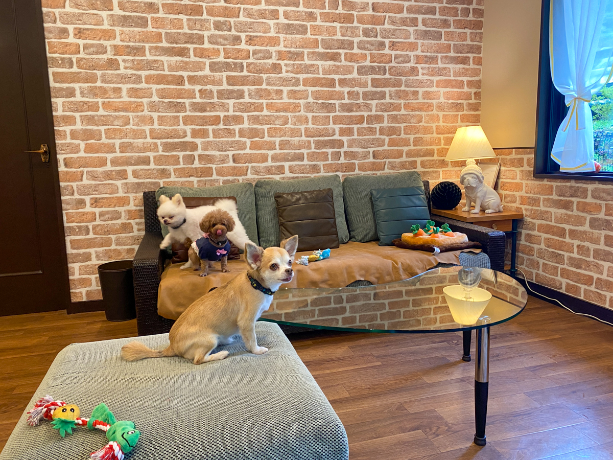 Images フジプレミアムリゾート