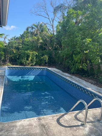 Images Paradise Palm Pools Inc