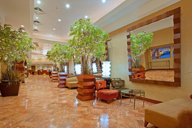 Images Crowne Plaza Houston Med Ctr-Galleria Area by IHG