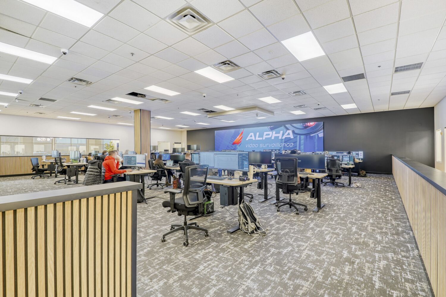 Alpha Video Surveillance Image