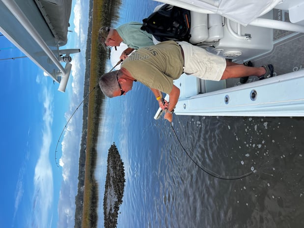 Images Eastern Tailz Outfitters