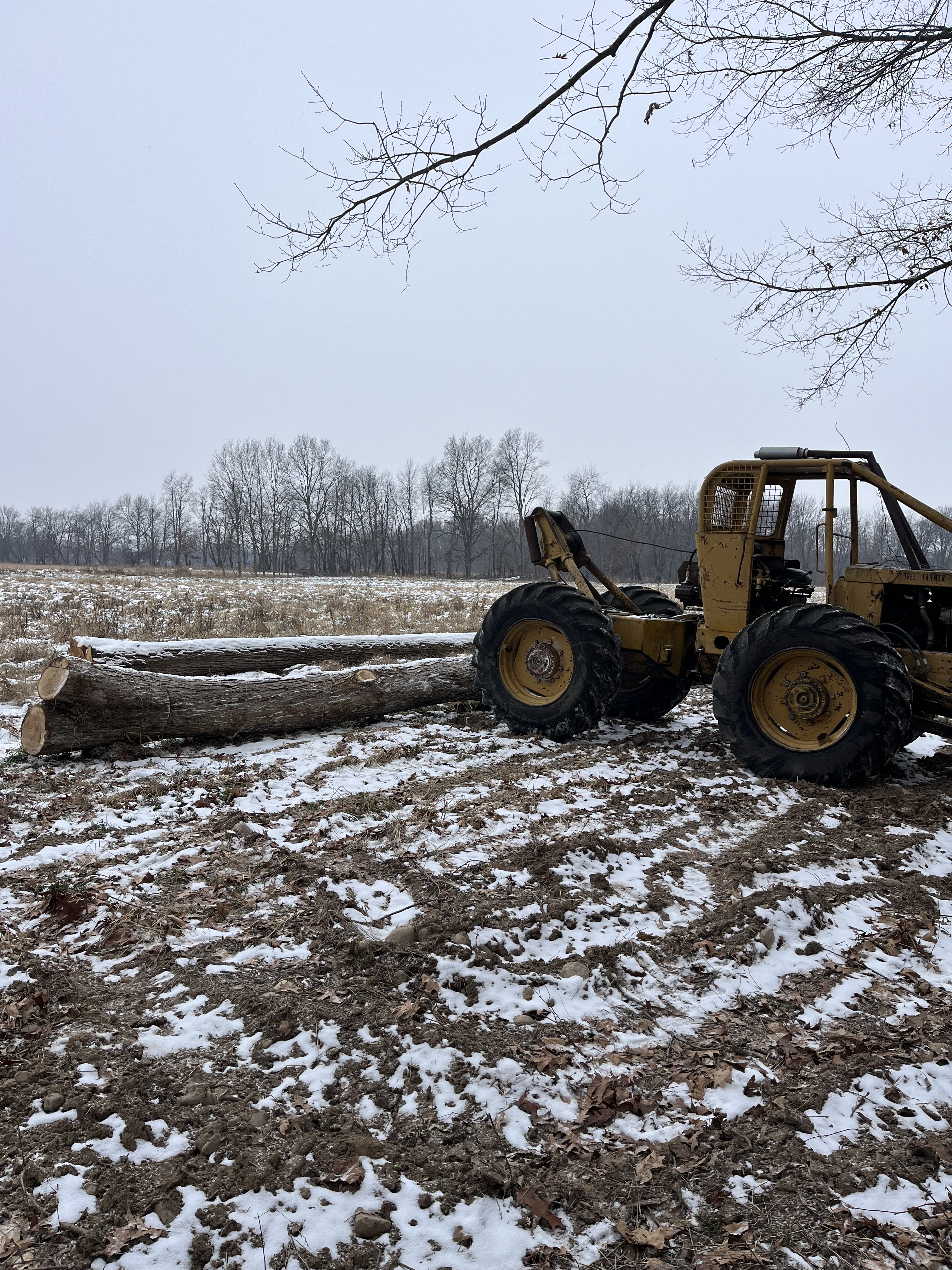 Woodman's Tree Service Image