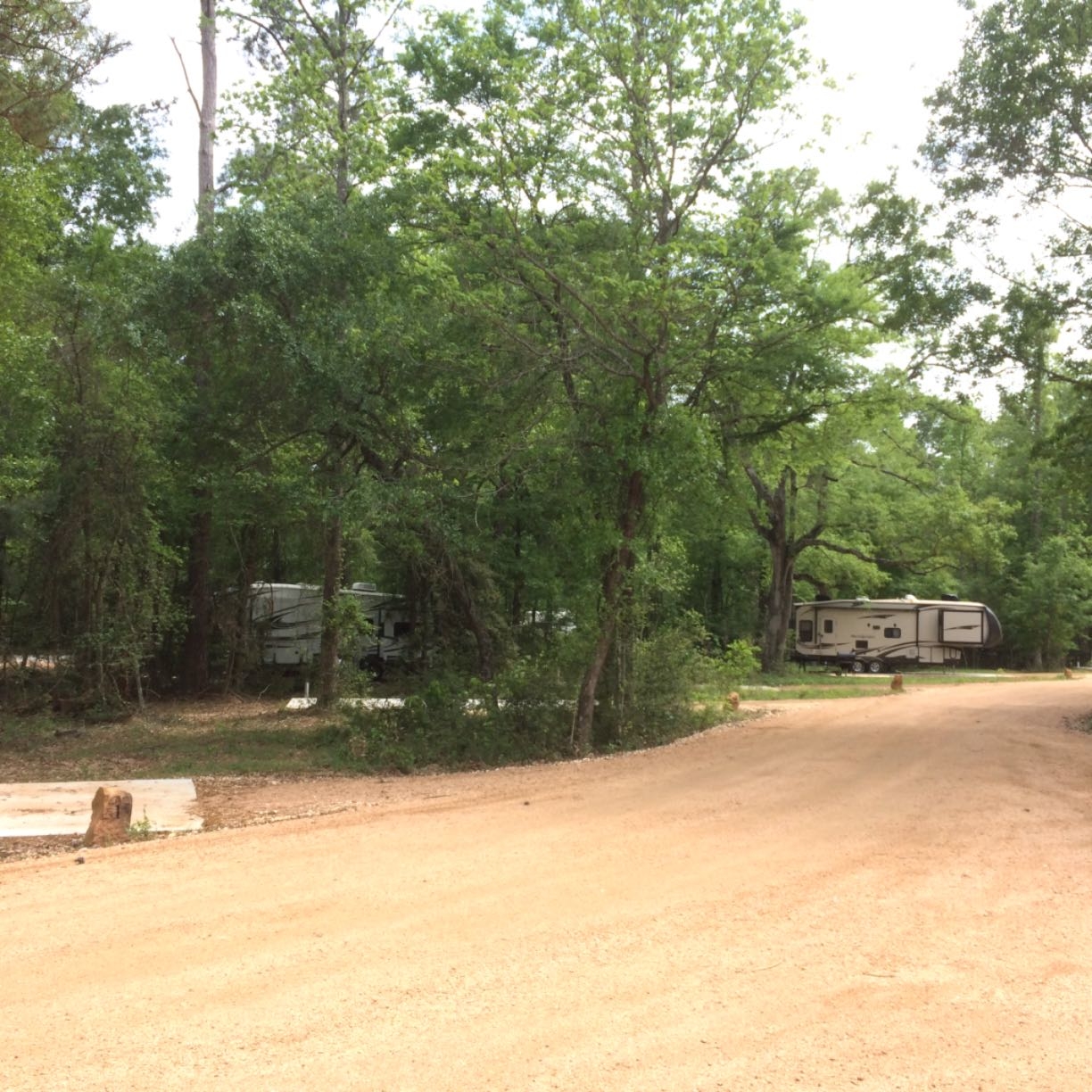 Another beautiful day here at Magnolia Forest RV Park!