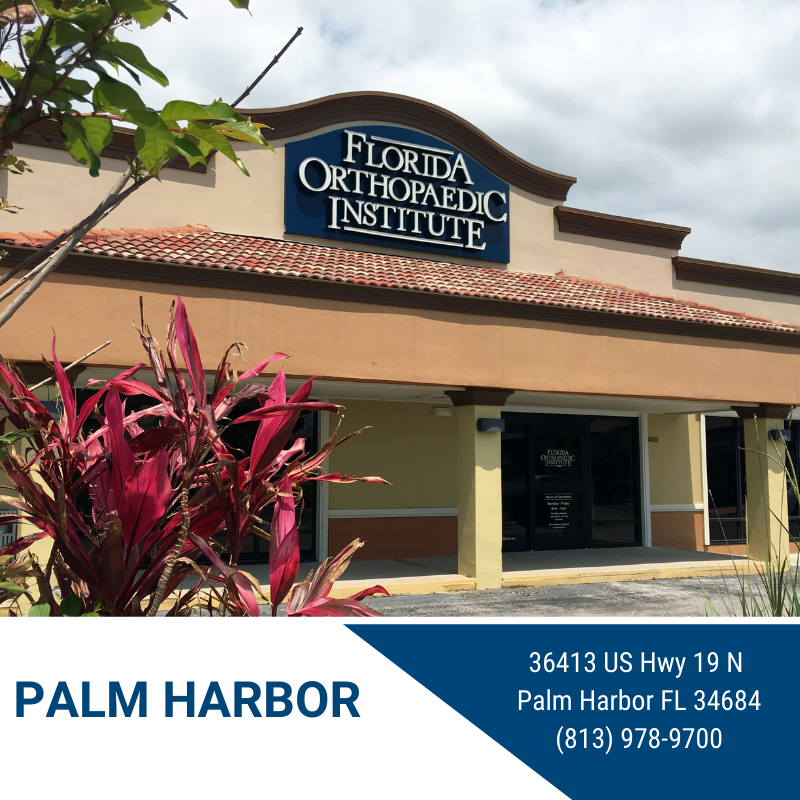 Infographic of Palm Harbor Location