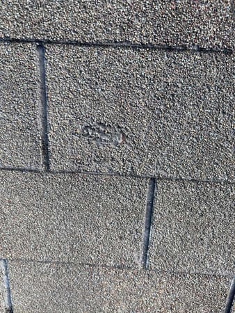 Images Blue Ribbon Roofing LLC - Jersey Village Roof Replacement