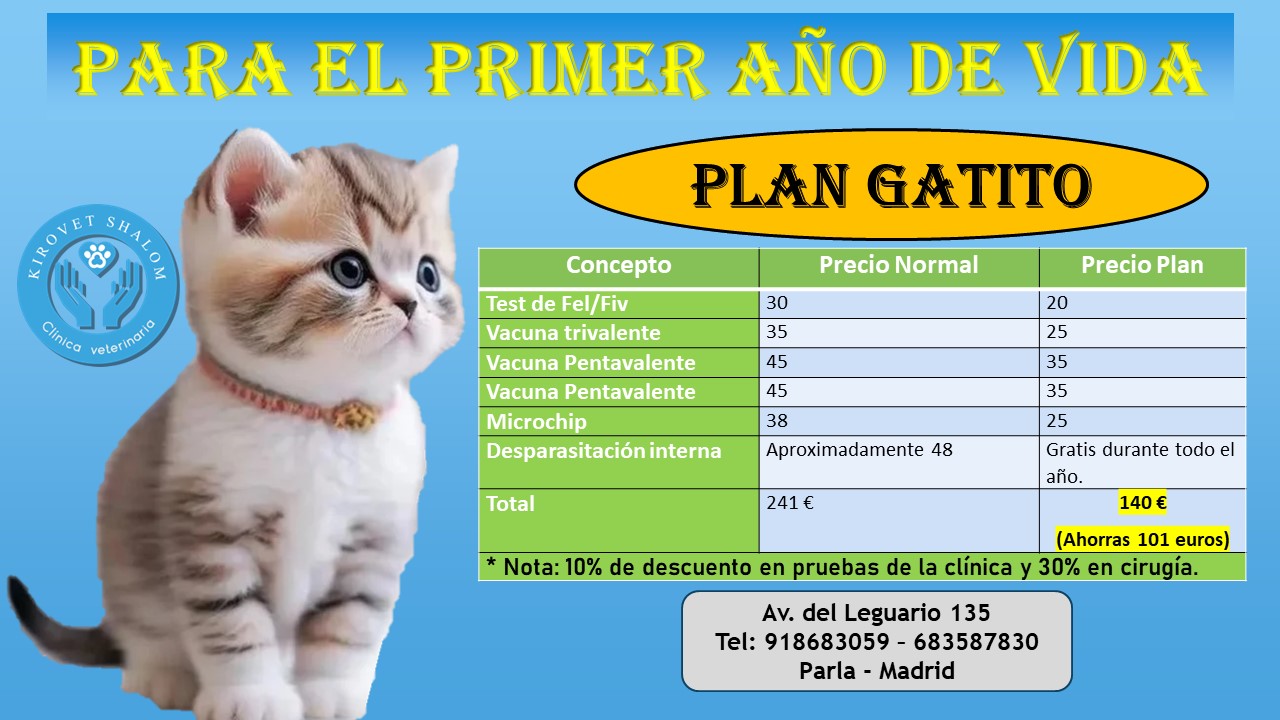 Images Clínica Veterinaria Kirovet Shalom S.L.