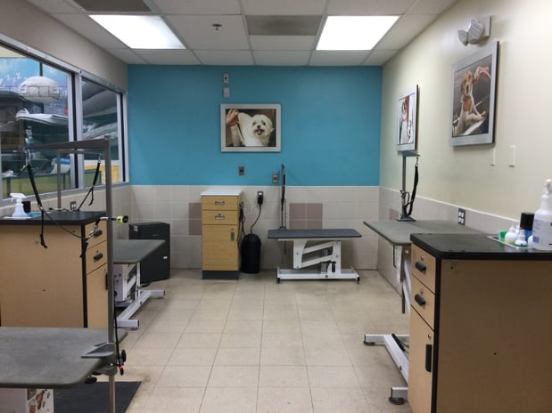 Images Petco Grooming