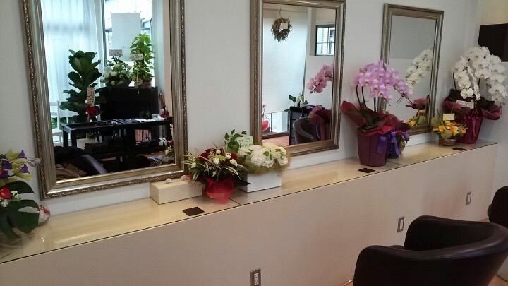 Images LUMIE hair & make