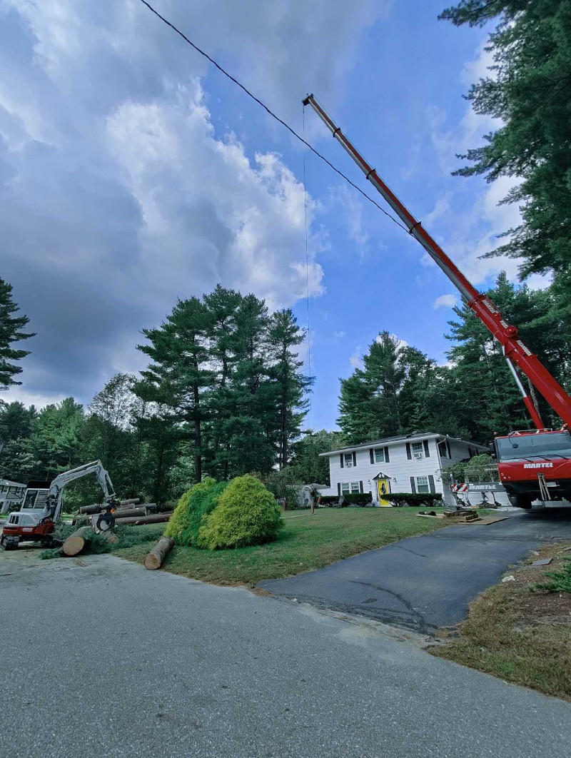 Martel Crane & Tree removed several large pines from this property in Chelmsford, MA.