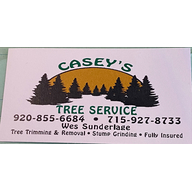 Casey's Tree Services Logo