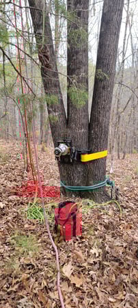 Images 4 Seasons Lawn Service