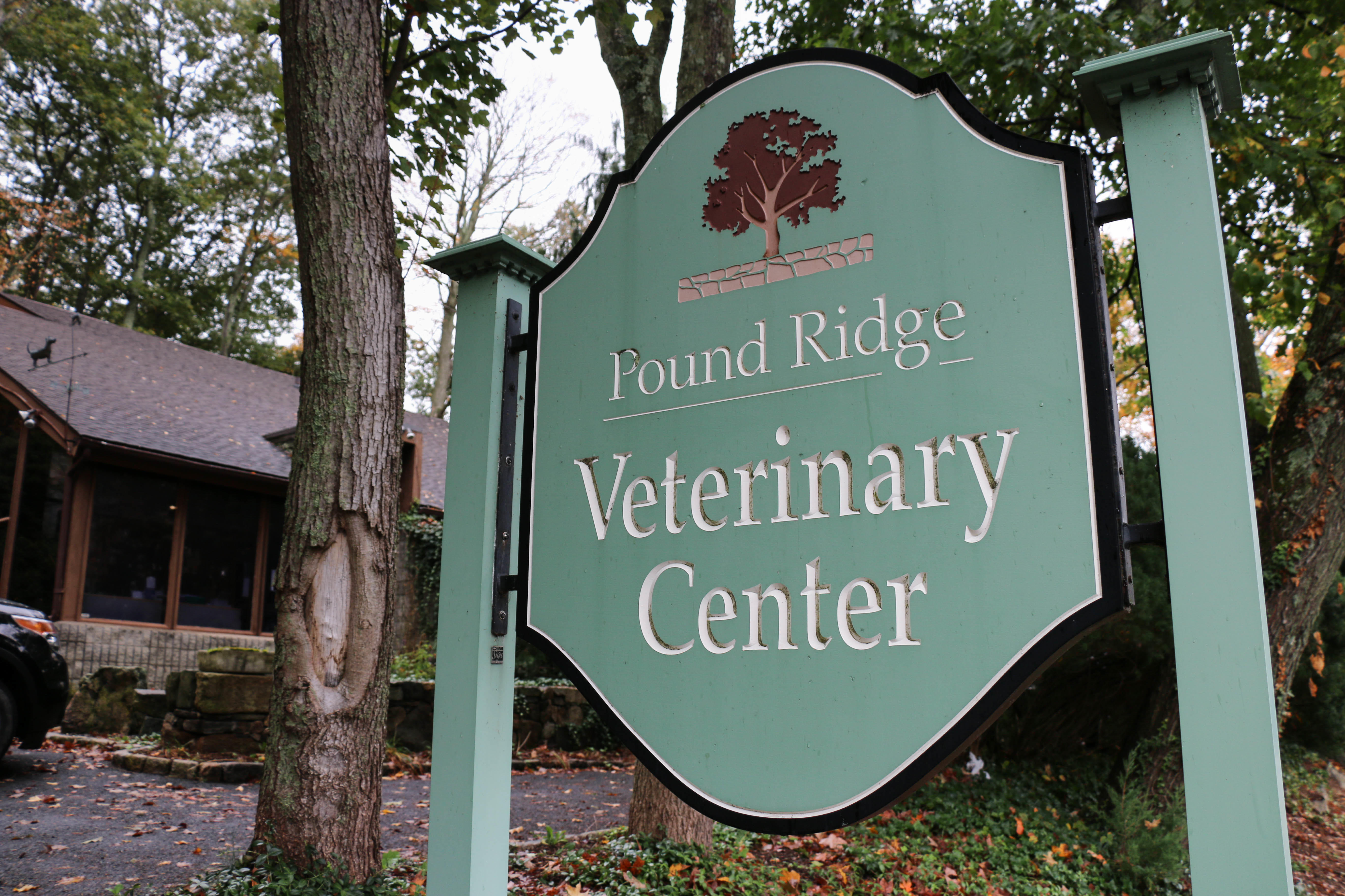 Pound Ridge Veterinary Center cares for dogs, cats and small mammals with full-service and comprehensive veterinary medicine.