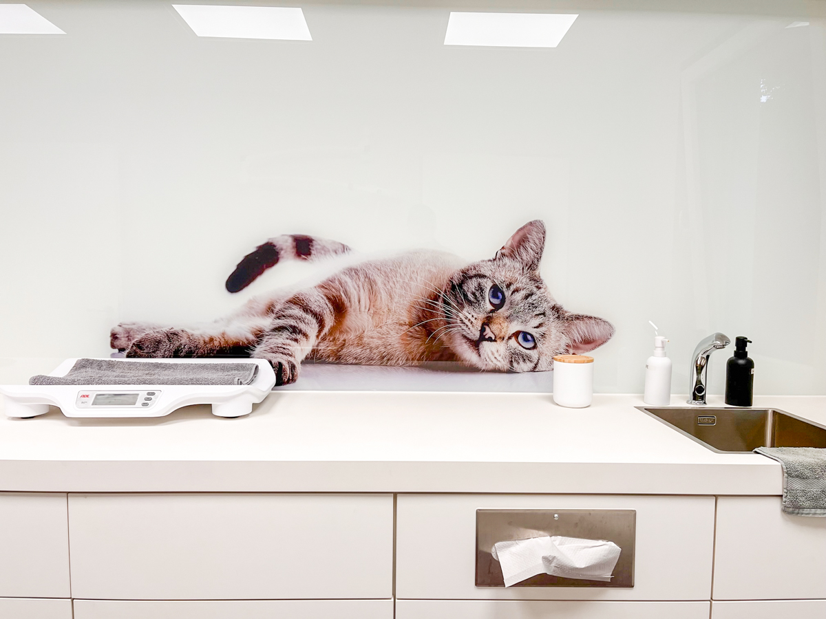 Bild 4 Tierarzt Nieder Schloß Holte-Stukenbrock, Tierärztliches Zentrum am Holter Wald, Kleintierpraxis Dr. Nieder in Schloß Holte-Stukenbrock