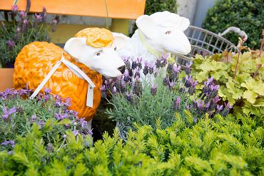 Blumenhaus Harbaum e.K. Inh. Gregor Harbaum, Himmelreichallee 45 in Münster