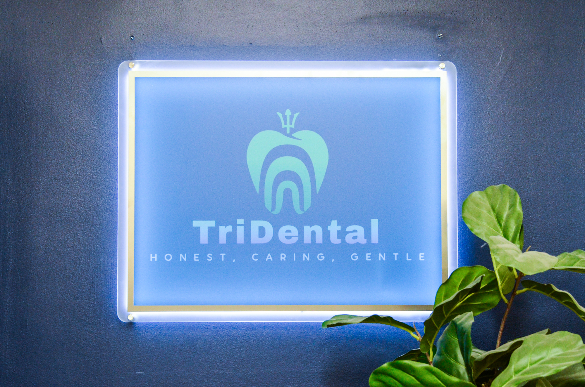 TriDental Waldorf Office_Interior