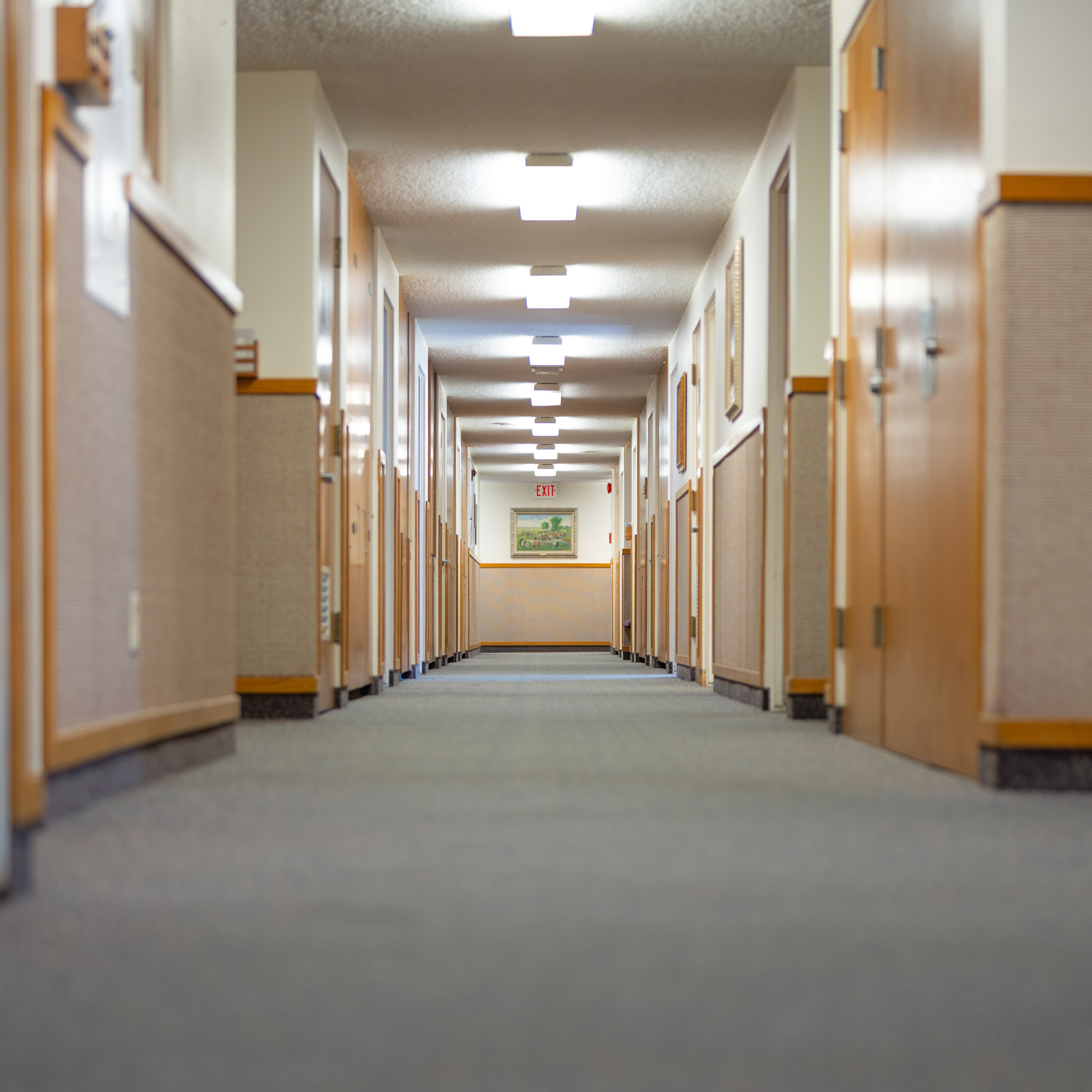 The Church of Jesus Christ of Latter-day Saints Image