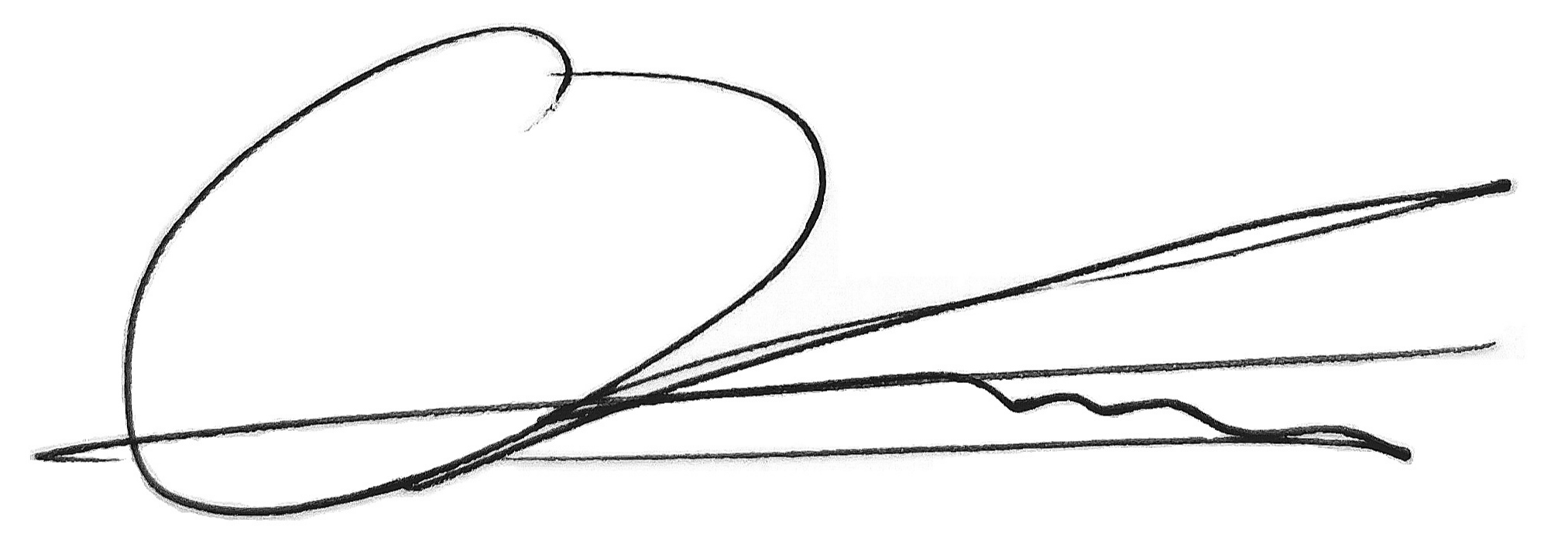 Signature.jpg