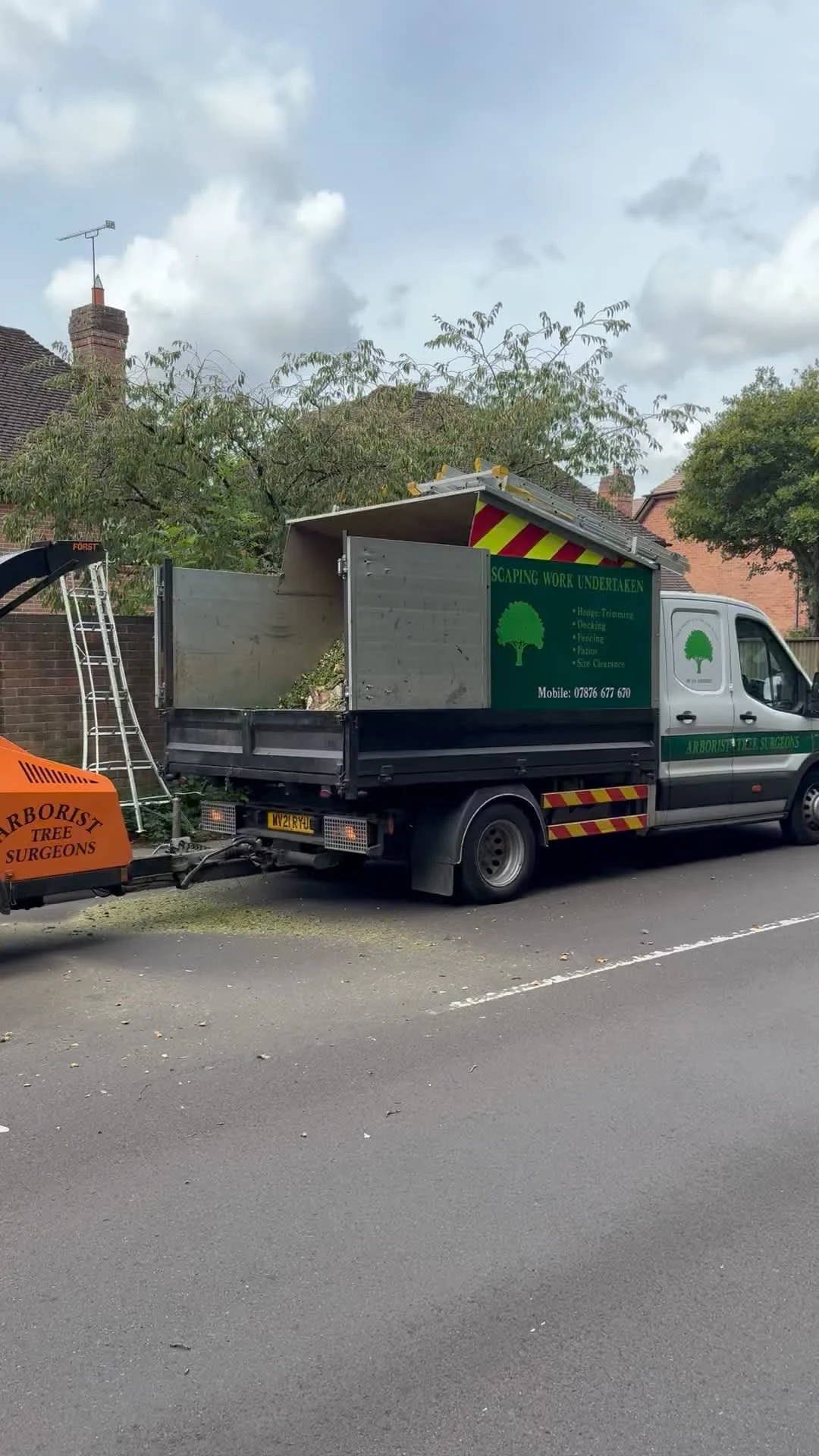 Images Arborist Tree Surgeons