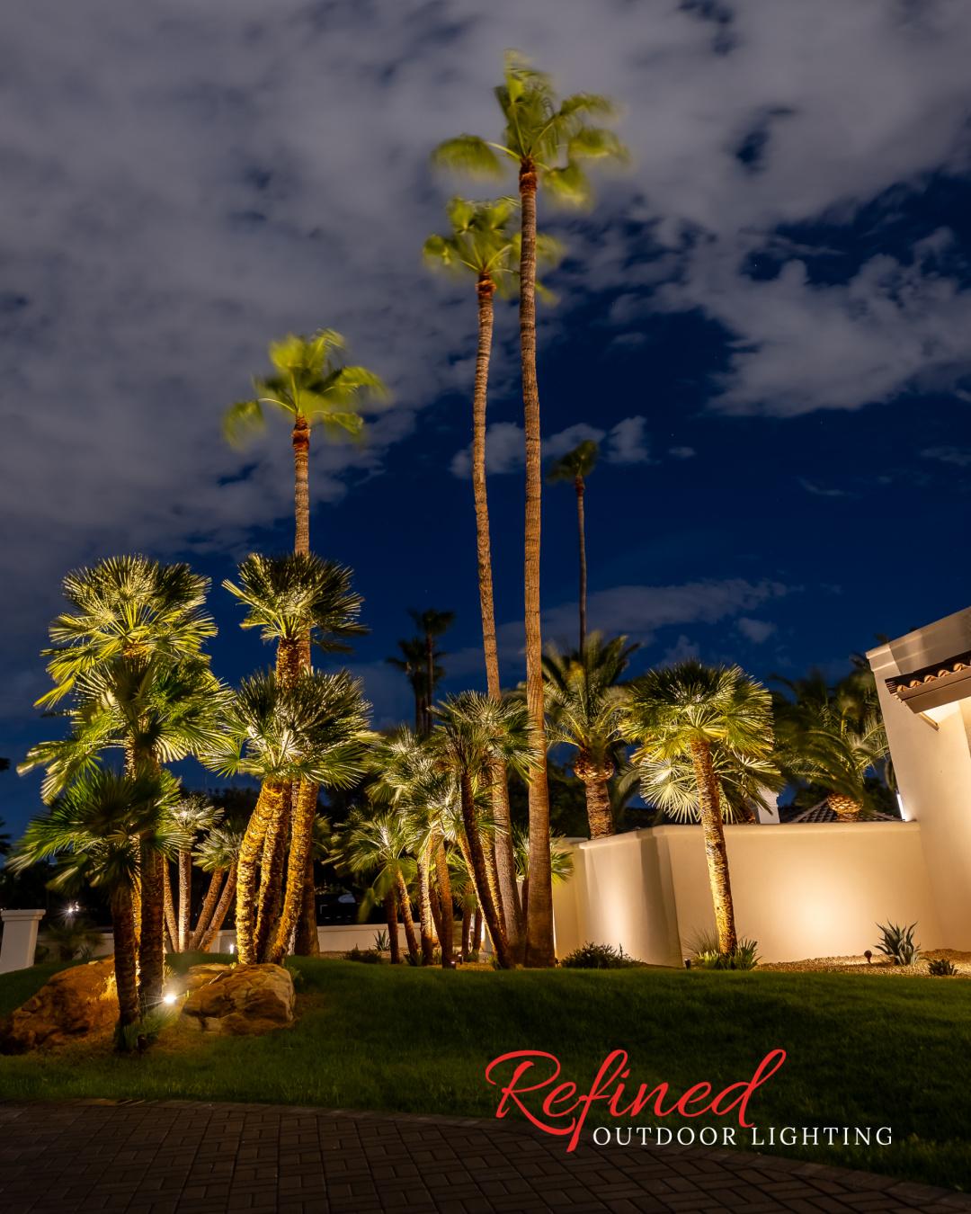 professional palm tree lighting