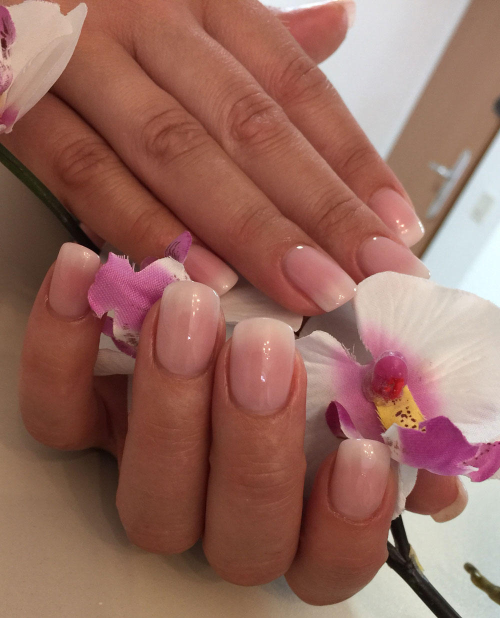 Schampagner Conceptstore Malente, Bahnhofstraße 1 in Bad Malente