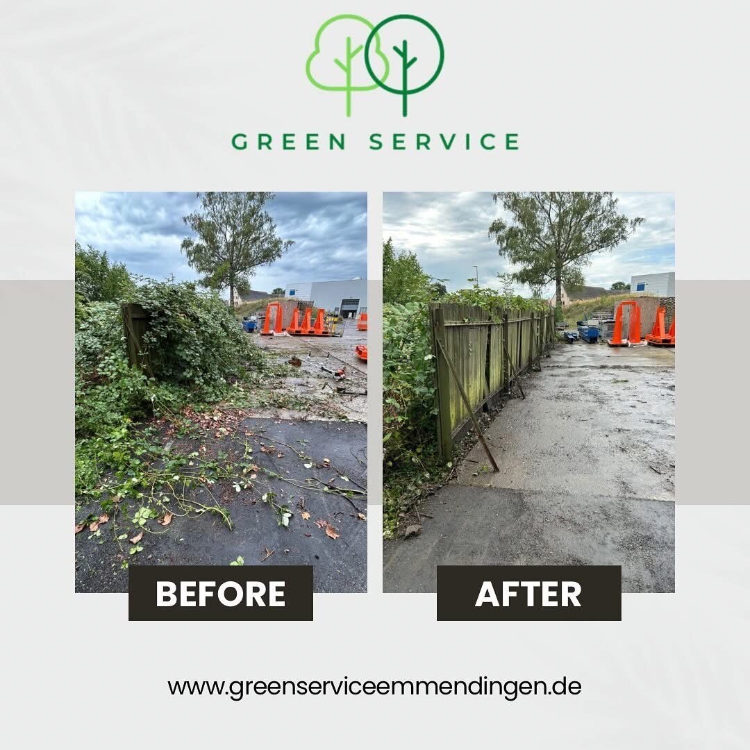 Bilder Green Service Hausmeisterdienst
