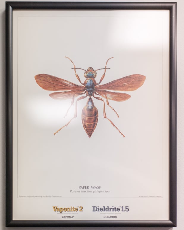 Images Massey Services Pest Control