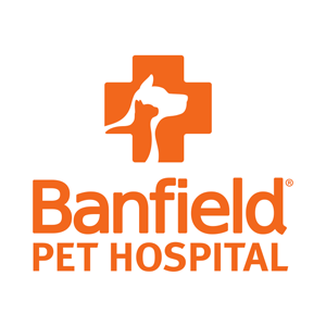 Banfield Pet Hospital - Alexandria, VA 22315 - (703)313-7973 | ShowMeLocal.com